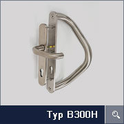typ B300H
